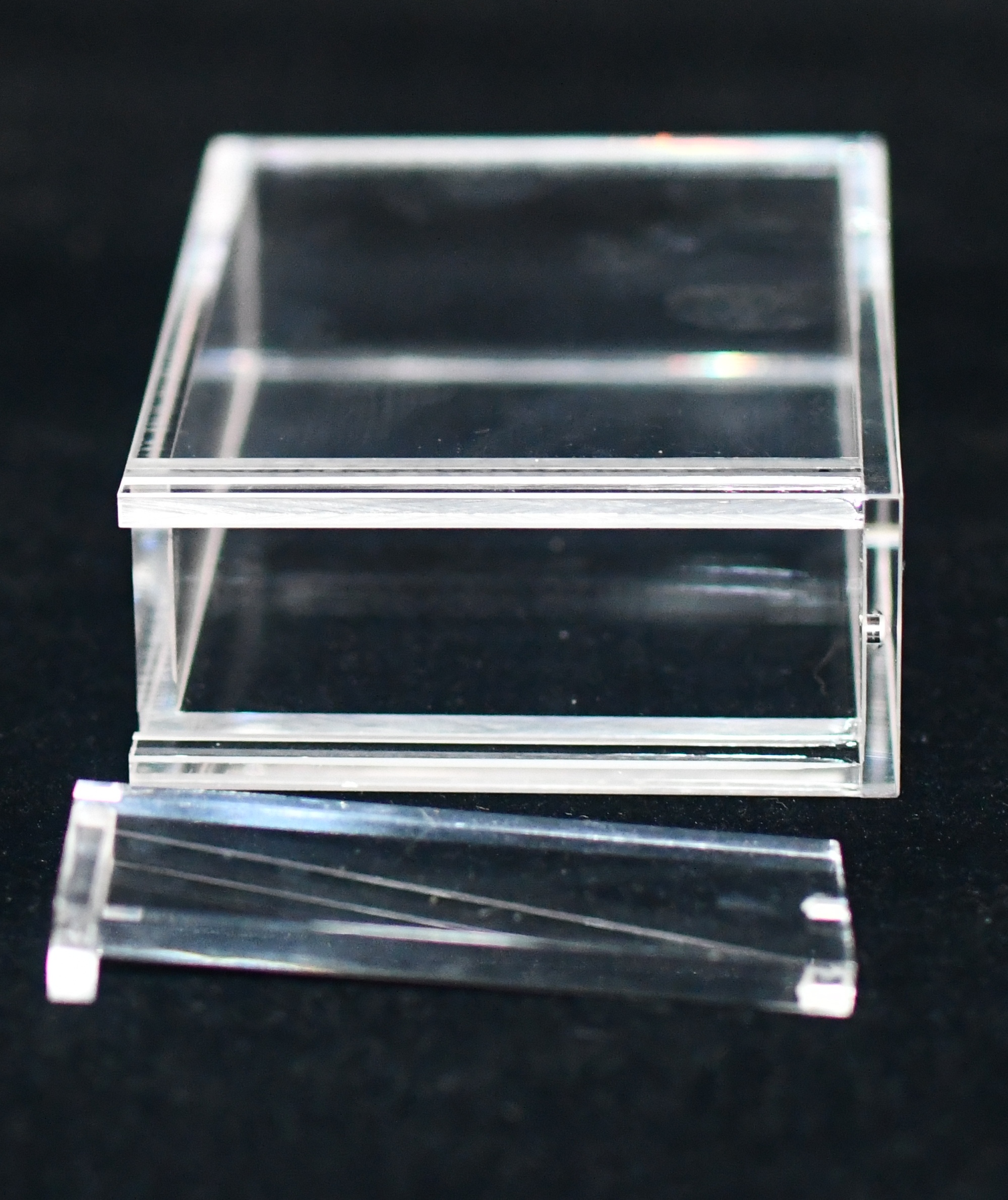 MTG 5x Acrylic A/B/U/R Starter Deck Display Guard (60003)